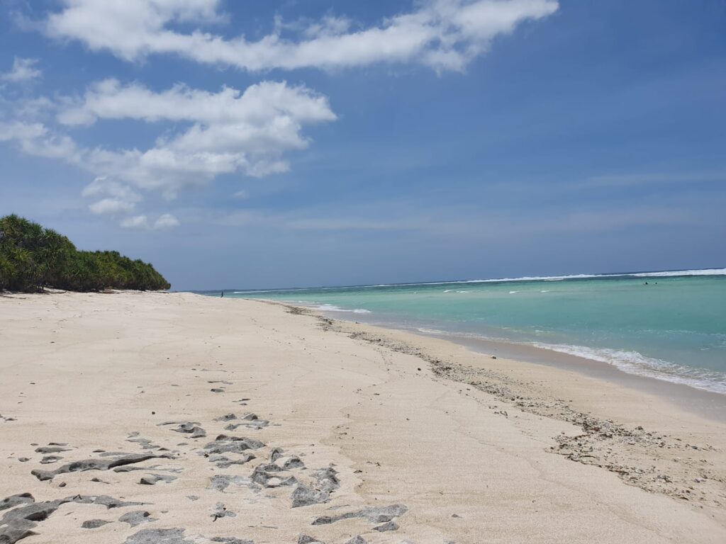 Tropical Beach at Rote Island